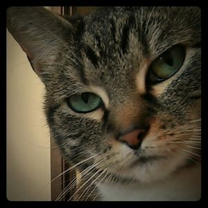 Top Rated Seller and Fast Shipper!